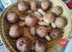 香菇包(红豆沙)的做法图解10