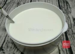 自制纯酸奶的做法图解5