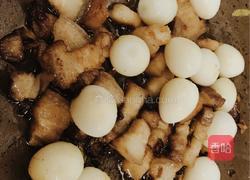 鹌鹑蛋红烧肉的做法图解7