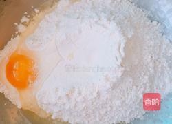 胡萝卜素什锦饺子的做法图解5