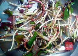 凉拌鱼腥草的做法图解3