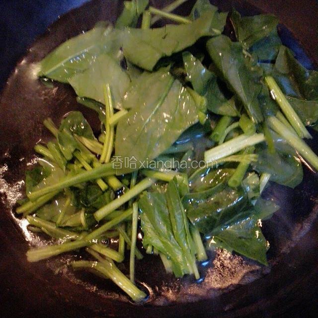菠菜切成小段用水焯一两分钟