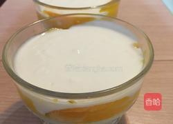 芒果酸奶的做法图解2