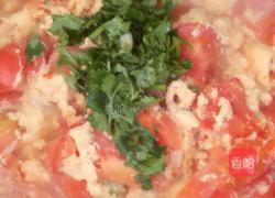 特色番茄炒蛋的做法图解8