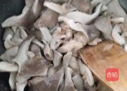 蘑菇炒肉片的做法图解5
