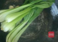 油菜汤面的做法图解4