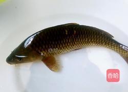 蒸跳水鲤鱼的做法图解1