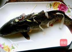 蒸跳水鲤鱼的做法图解5