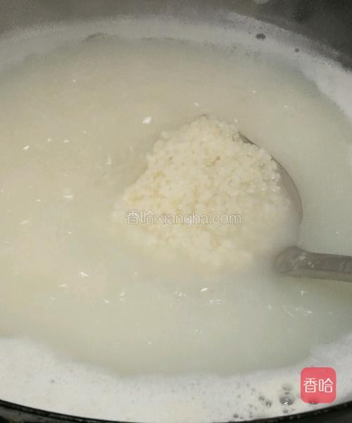 锅里水开后倒入已经淘洗好的米，我这里是用的种子胚芽米，口感和营养都更上一层楼！