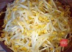 爆炒绿豆芽的做法图解1