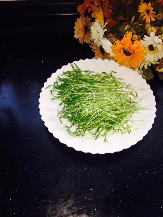 松柳芽苗菜