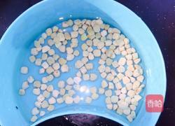 松柳芽苗菜的做法图解2