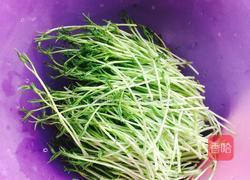 松柳芽苗菜的做法图解7