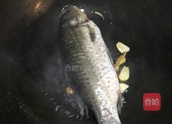 鲫鱼萝卜丝汤的做法图解4