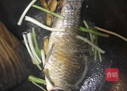 鲫鱼萝卜丝汤的做法图解5