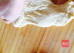 椰蓉土司的做法图解6