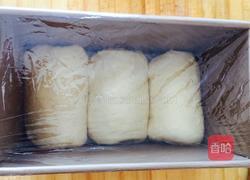 纯牛奶土司&椰蓉土司的做法图解19
