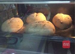 黑麦核桃蔓越莓软欧包的做法图解4