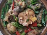 鲶鱼煲