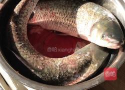 酸菜草鱼鲶鱼的做法图解1