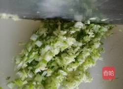 猪肉西葫芦水饺的做法图解2