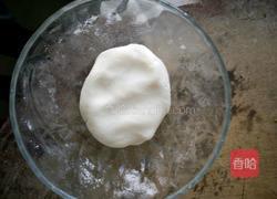 心里红的做法图解2