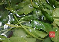 凉拌菠菜的做法图解3