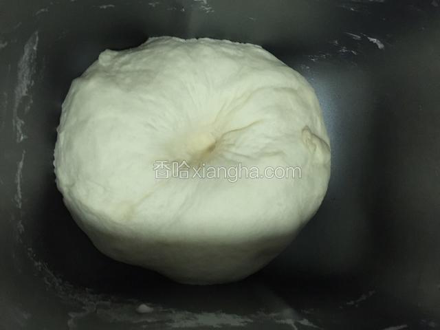 约半小时后发至二倍大。