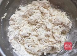 五香酱肉包的做法图解2