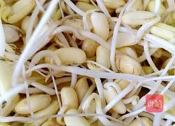 自发黄豆芽的做法图解7