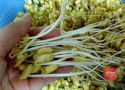自发黄豆芽的做法图解5