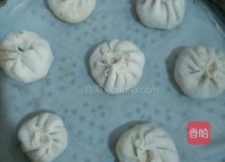荠菜肉包子的做法图解14