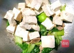 油菜豆腐炒肉的做法图解8