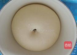 豆沙小面包的做法图解6