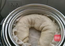 葱花卷的做法图解13
