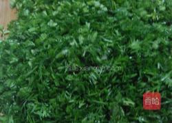 馅饼……茴香肉馅的做法图解5