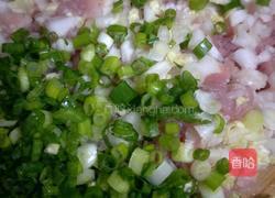 猪肉白菜水饺子的做法图解4