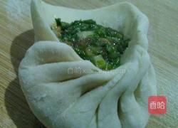 圆包子……茴香肉馅的做法图解16