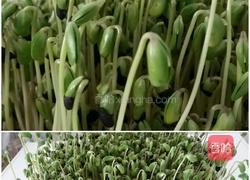 凉拌豆苗的做法图解1