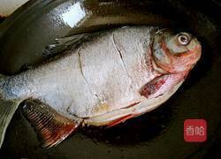 红烧鲳鱼的做法图解3