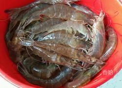 家常自制白灼虾的做法图解2