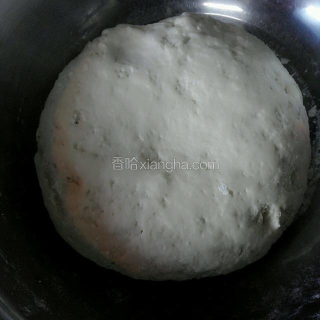 和成面团，盖好盖子等待发酵