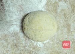生煎玉米团子（猪肉萝卜馅）的做法图解14