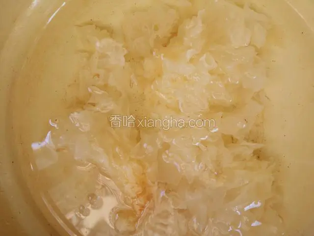 银耳加清水发透