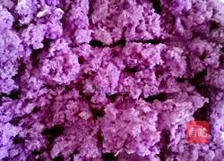 玫瑰花红豆卷的做法图解2