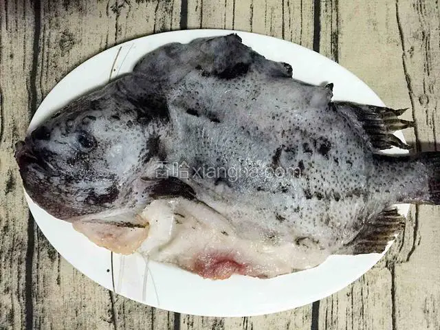 海参斑鱼去腮去内脏，将鱼身上的硬鳞刮干净。