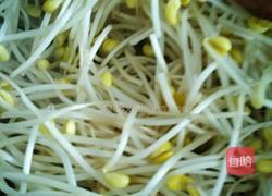 爆炒黄豆芽的做法图解5