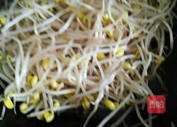 爆炒黄豆芽的做法图解7