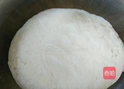 雪中红梅的做法图解1