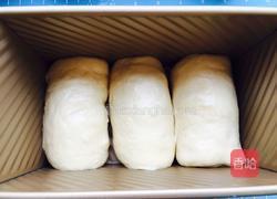 蔓越莓奶香土司的做法图解14